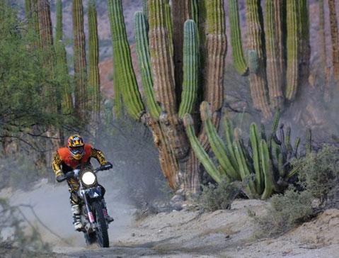 НОВИНКА! ТЕПЕРЬ У НАС ВЫ МОЖЕТЕ КУПИТЬ ПОКРЫШКИ IRC!